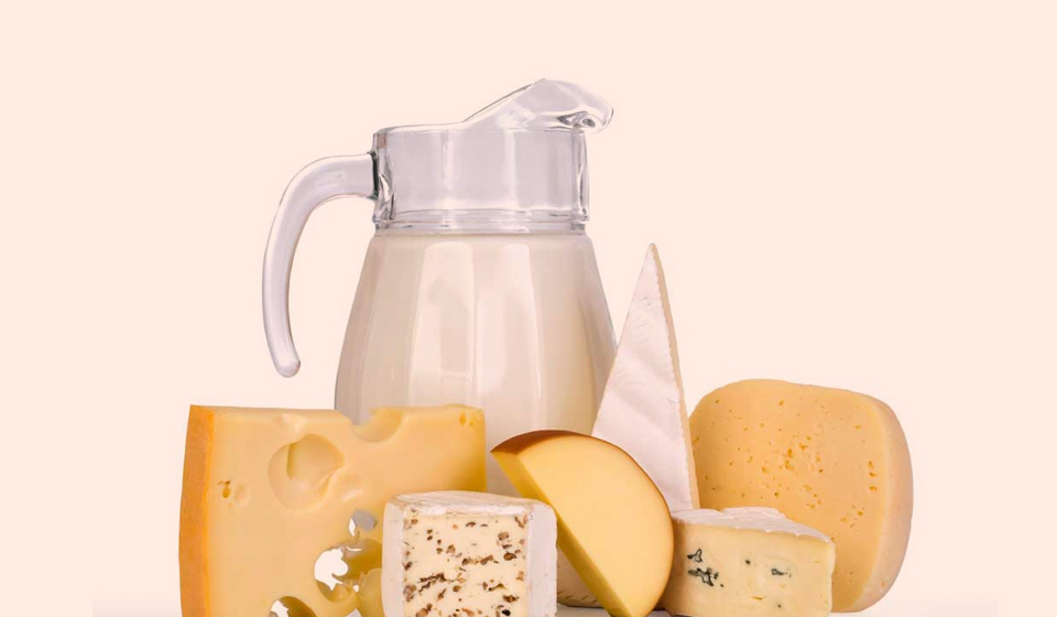 Physiotherapy service