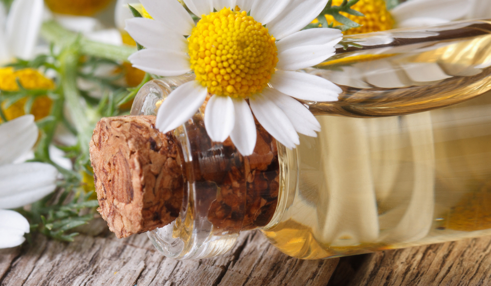 Physiotherapy service